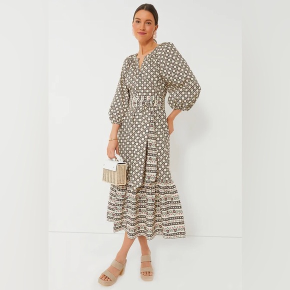 Tuckernuck Dresses & Skirts - Tuckernuck Birch Cane Border Lyles Dress size L